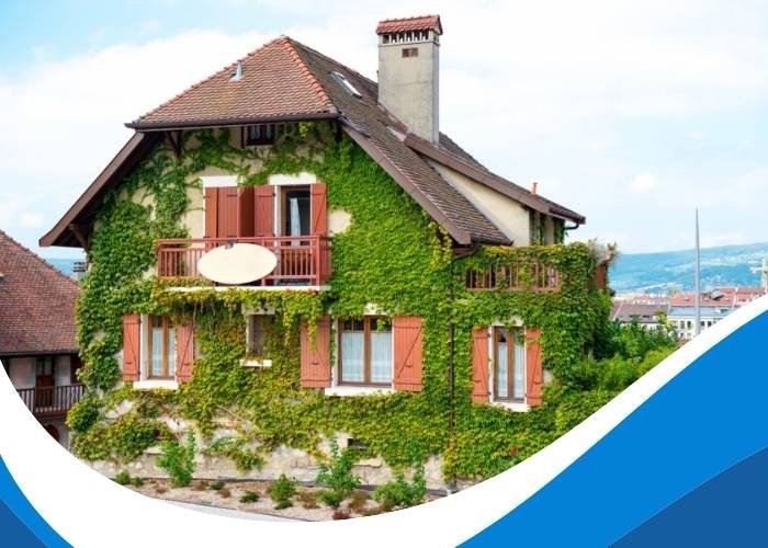 Nettoyage et entretien professionnel maison